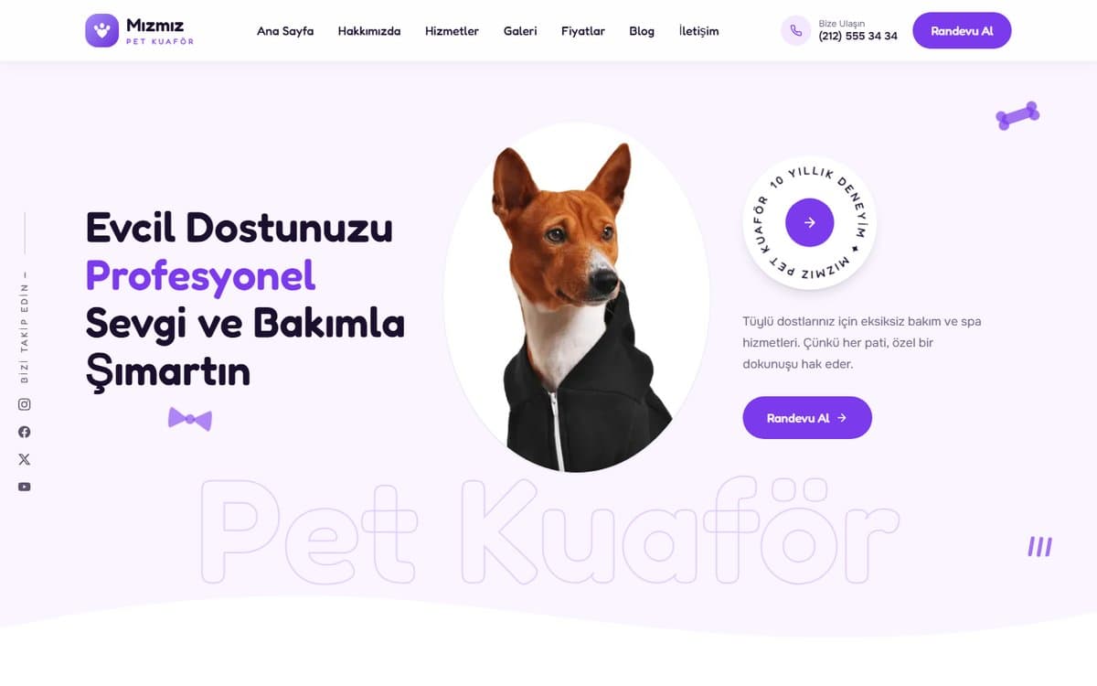 Pet Kuaför Web Sitesi Nasıl Kurulur?